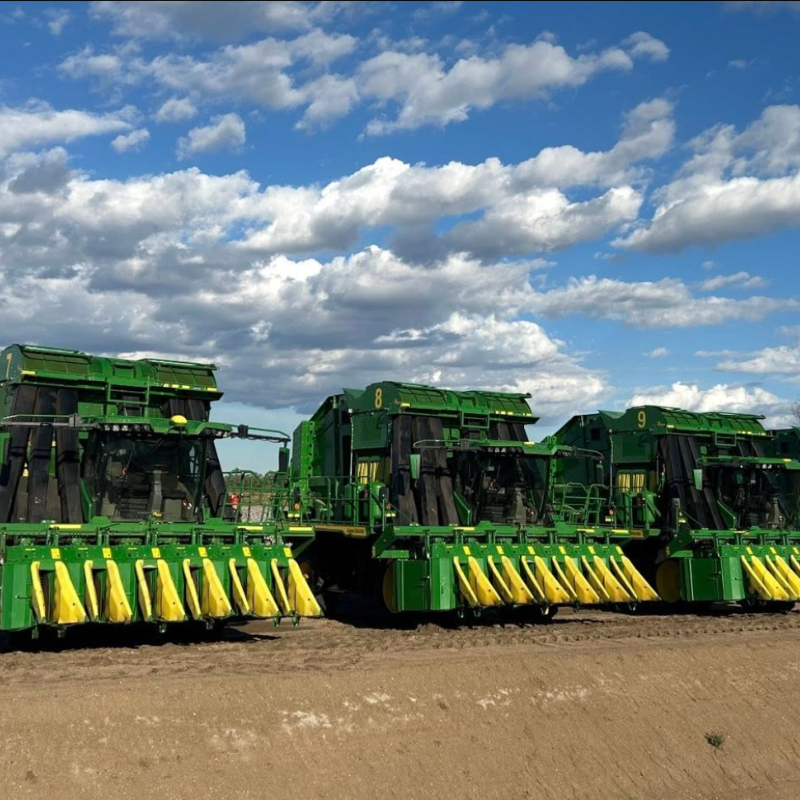 Cotton Pickers